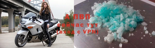 дживик Бронницы