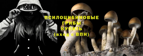 гидропоника Бугульма