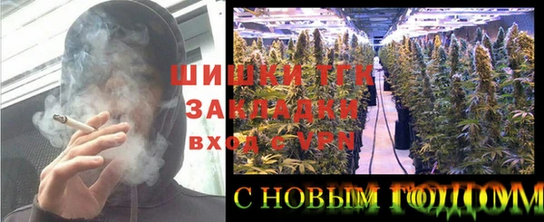 дживик Бронницы