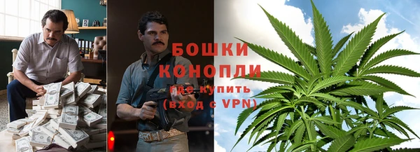 дживик Бронницы