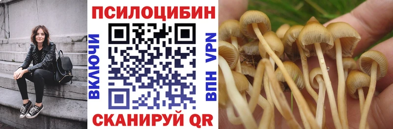 Псилоцибиновые грибы мицелий  mega рабочий сайт  Вышний Волочёк 